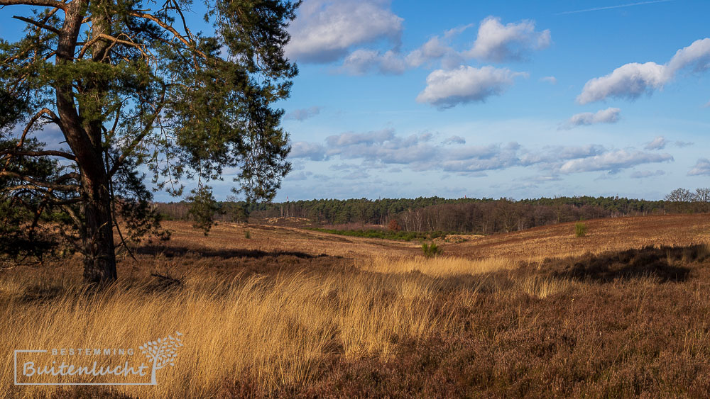 vergezichten in de Teut bij Zonhoven