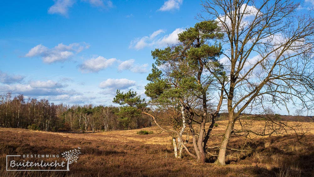 wandelen door glooiend landschap van de teut bij zonhoven