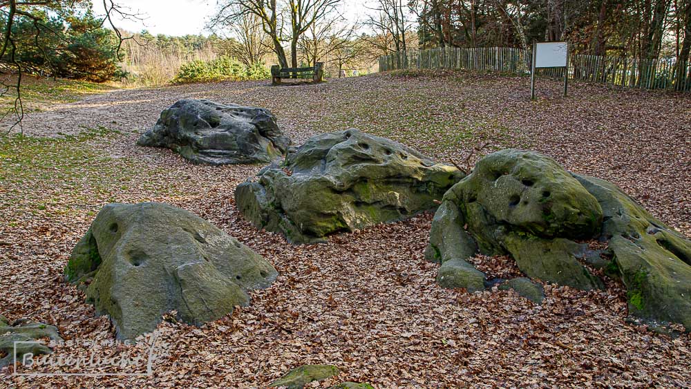 Wandelen langd de Holsteen in Zonhoven