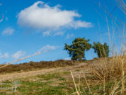 wandelen teut zonhoven