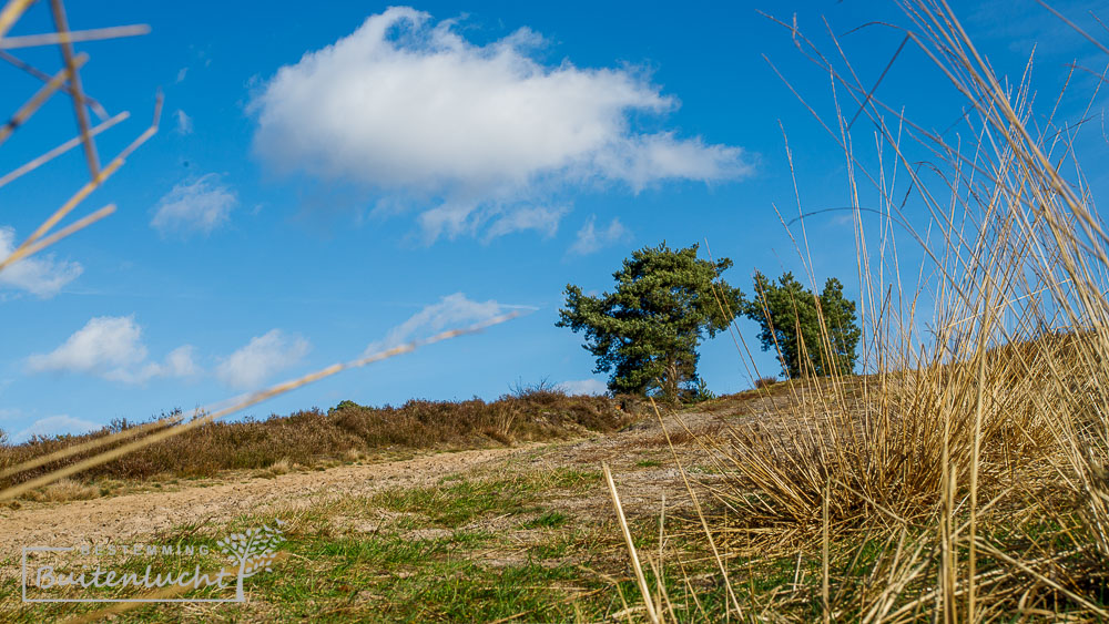 wandelen teut zonhoven