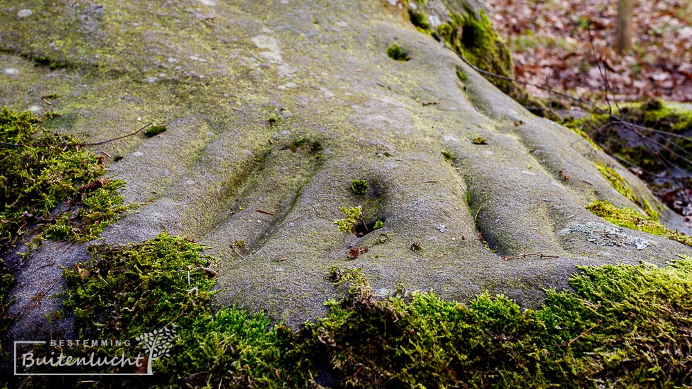 prehistorische gleuven in de Holsteen