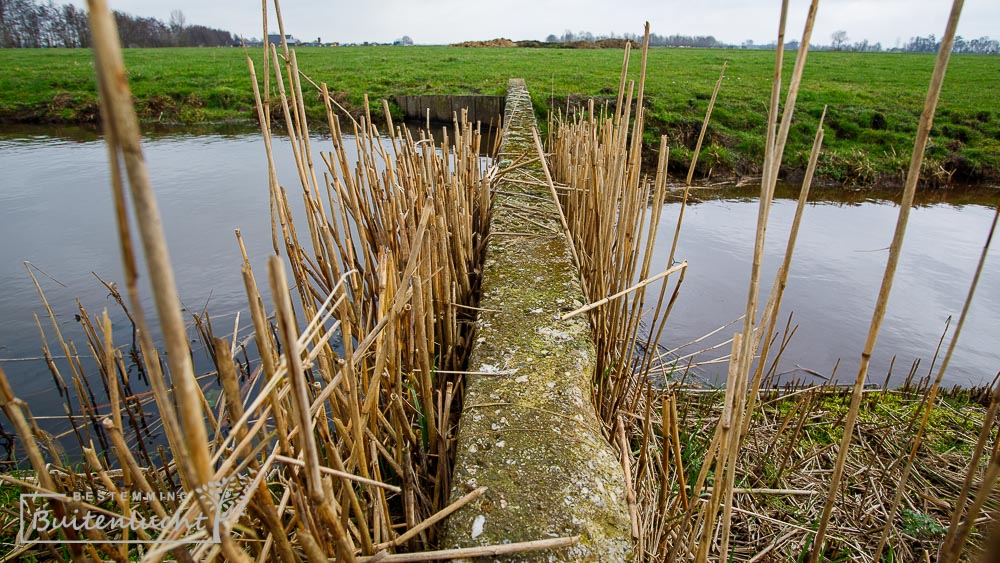 Waterhuishouding door Staatsbosbeheer in Willeskop