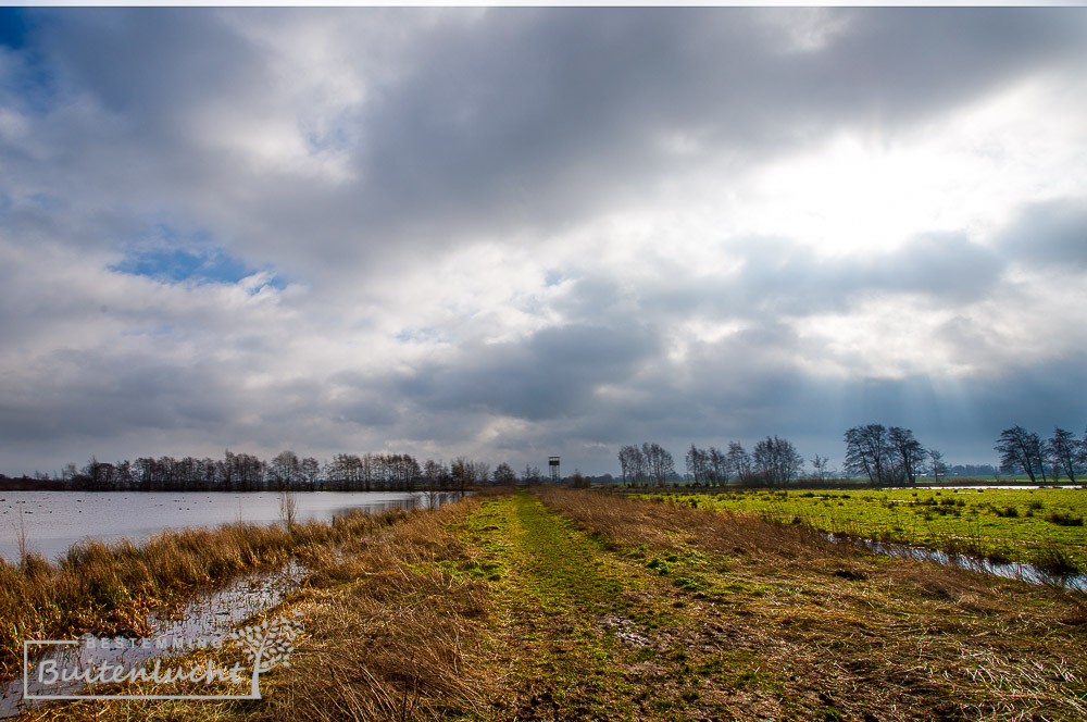 Willeskop natuurgebied