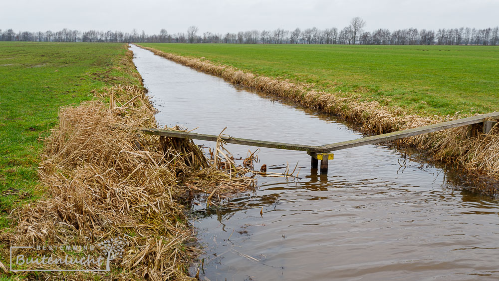 Hazenbruggetje in de polders