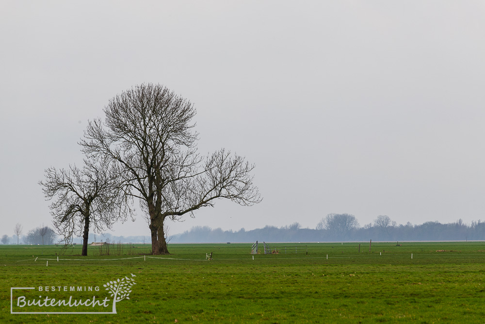 UItgestrekte polders bij Benschop