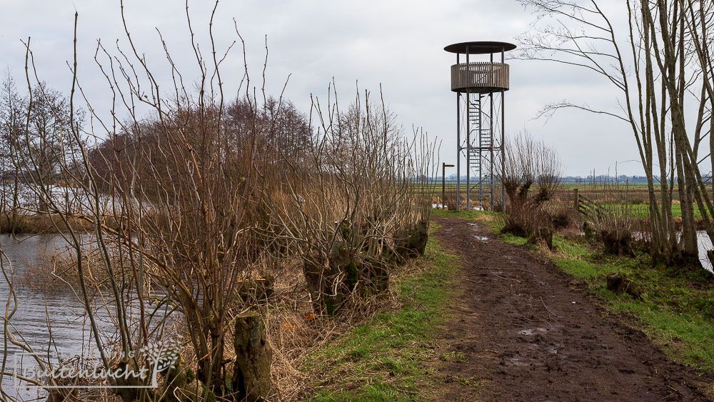 Wandelen langd uitkijktoren Willeskop