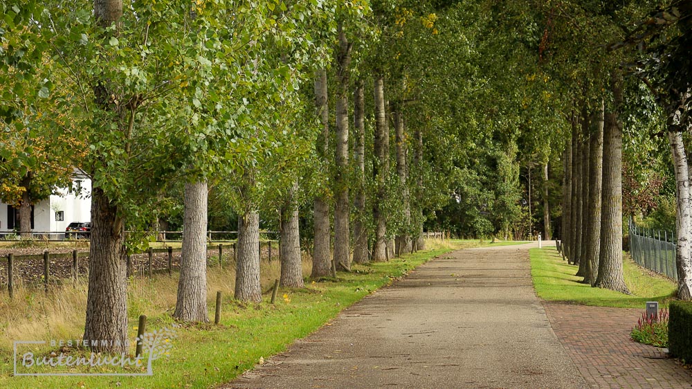 Typerend straatje tijdends de Van Gogh wandeling inn Nuenen