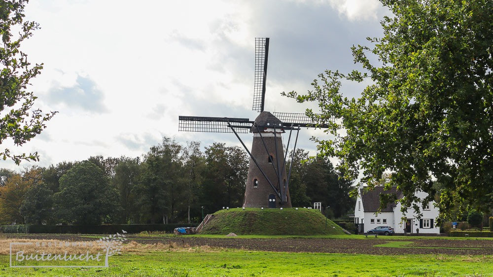 Molen de Roosdonck tijdens de Van Gogh wandeling in Nuenen