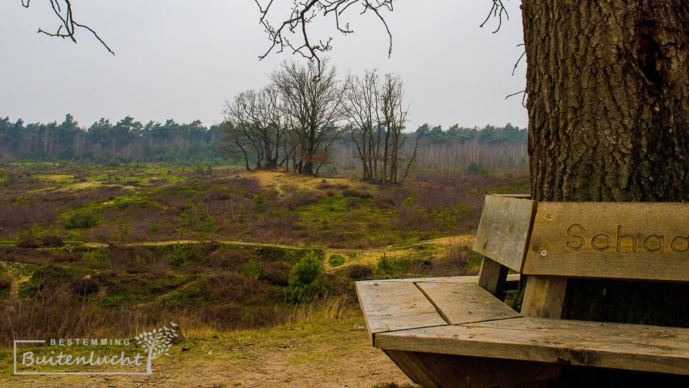 Vanaf een van de stuifduinen in de Schaakse heide luisteren naar verhalen over de Peel