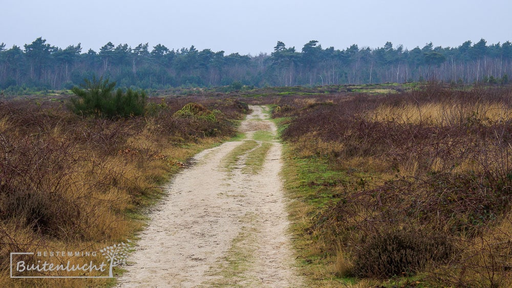 Verhalen uit de Peel: hier reed Jeu en ontmoette de Duitsers