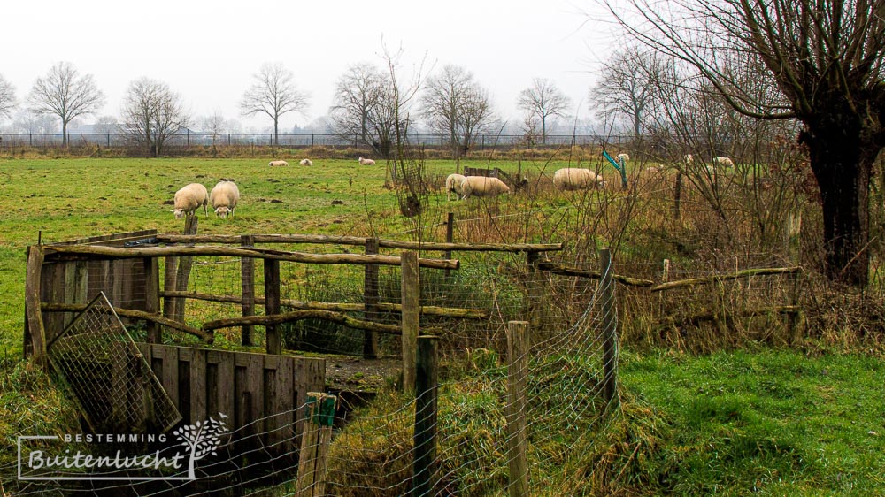 Landelijk Horst aan de Maas 