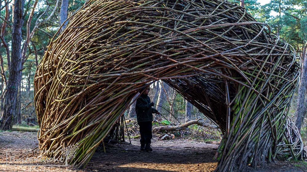 Kunstwerk van wilgentakken in bos