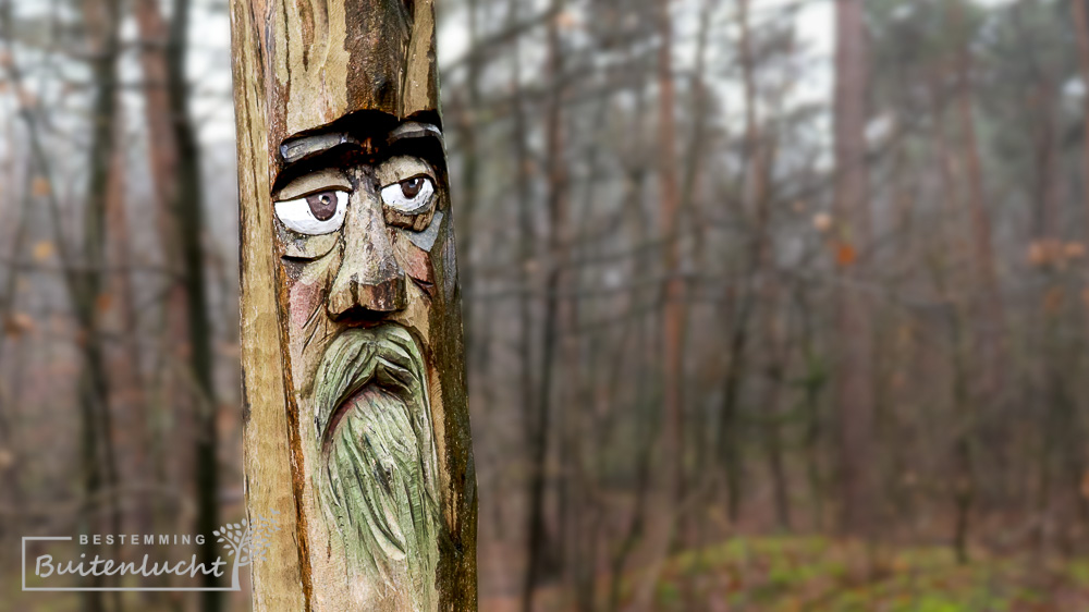 Sculpturen in honden losloopgebied bij de Meinweg