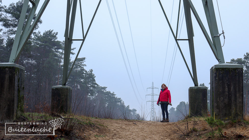 Honden los in De Meinweg, wandelen over de Zandbergen