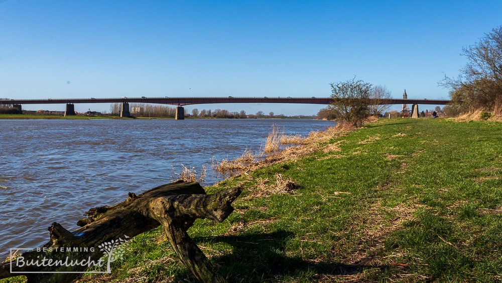 Nederrijn en brug bij Rhenen