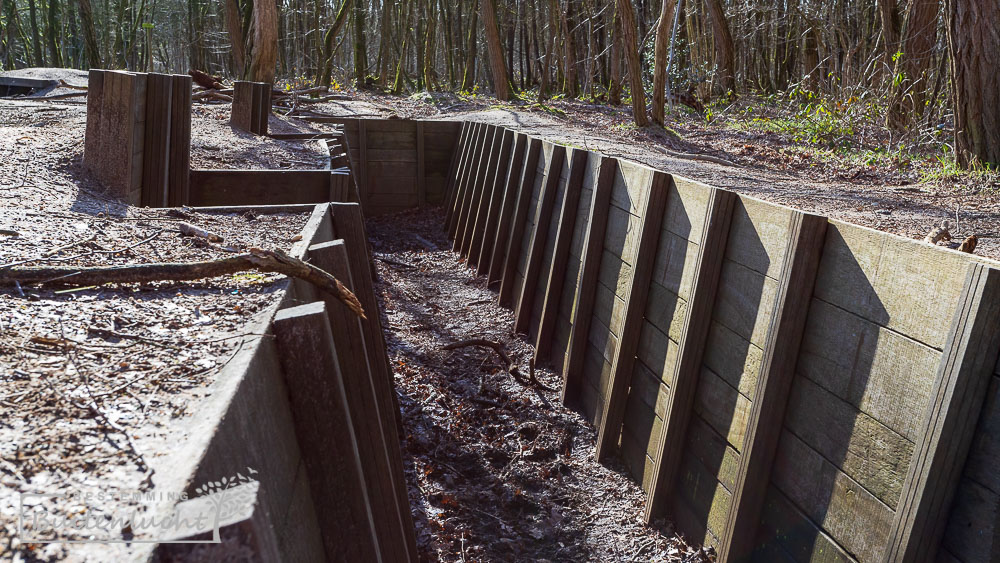 Loopgraven op de Grebbeberg