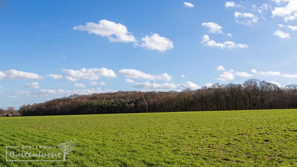 Grasvelden met de Grebbeberg op de achtergrond