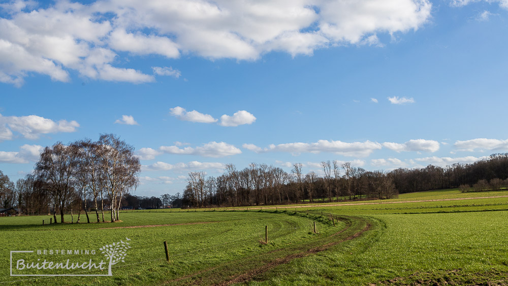 Groene velden bij de Laarsenberg