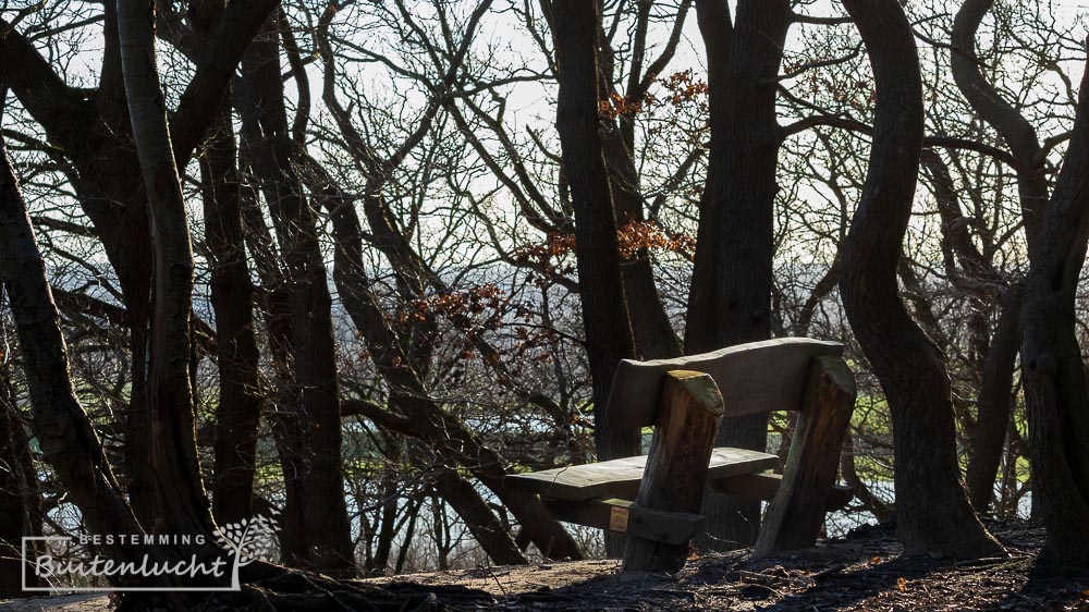 Bankje op de Grebbeberg