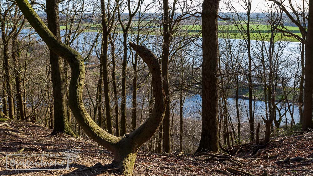 Wandelen bij Rhenen