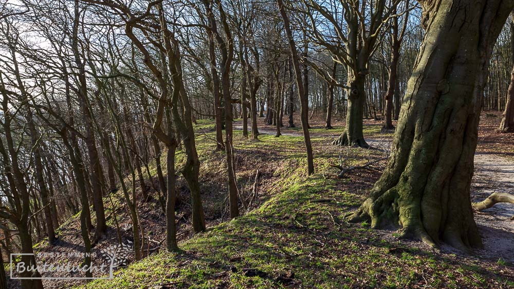 Steile hellingen van de Grebbeberg