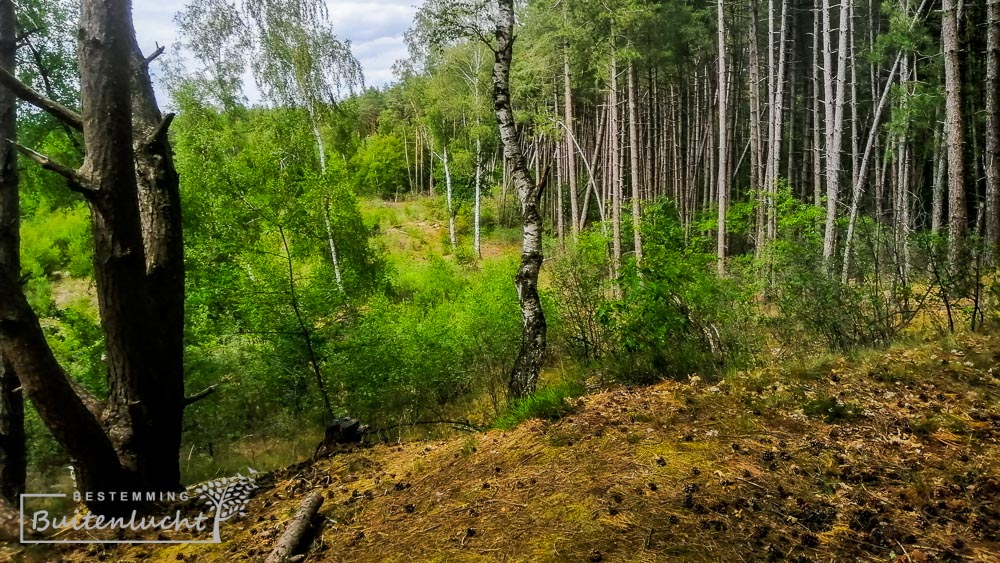 Duinengordel Oudsberg Gruitrode wandelen