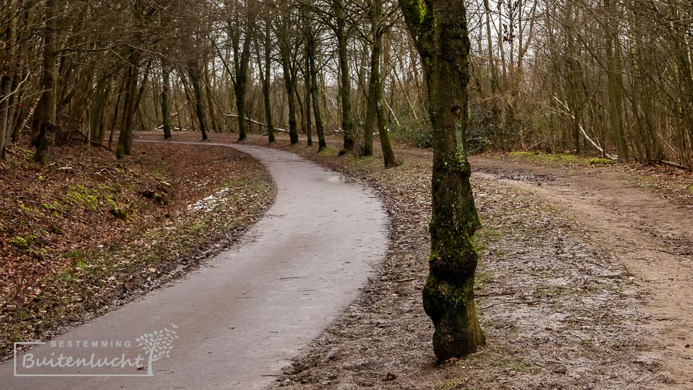 Vanaf de Wilhelminaberg weer naar beneden wandelen