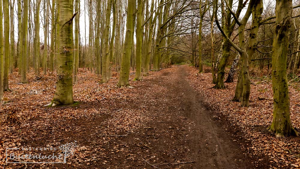 Wandelen door het Strijthagerbeekdal