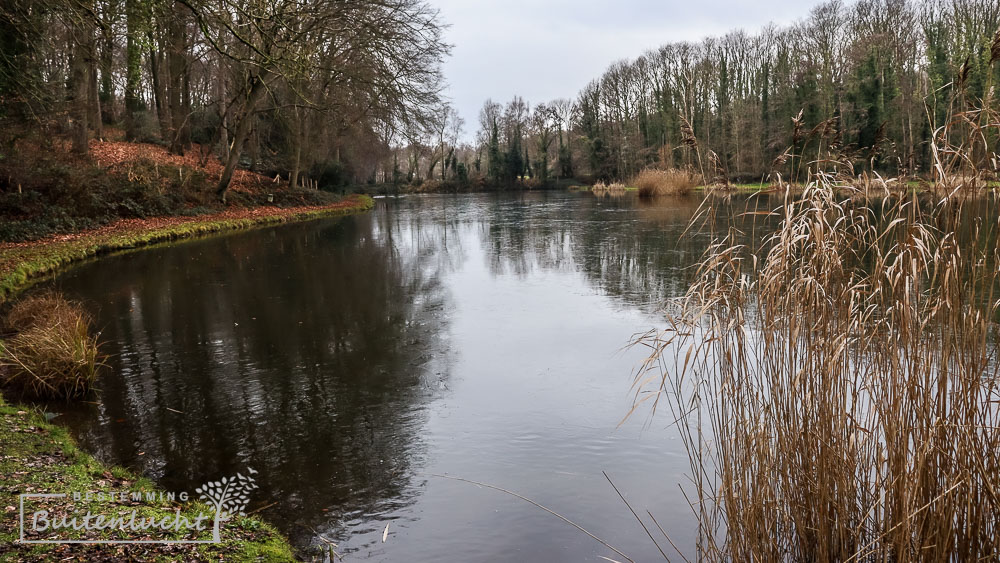 Visvijver bij kasteel Strijthagen