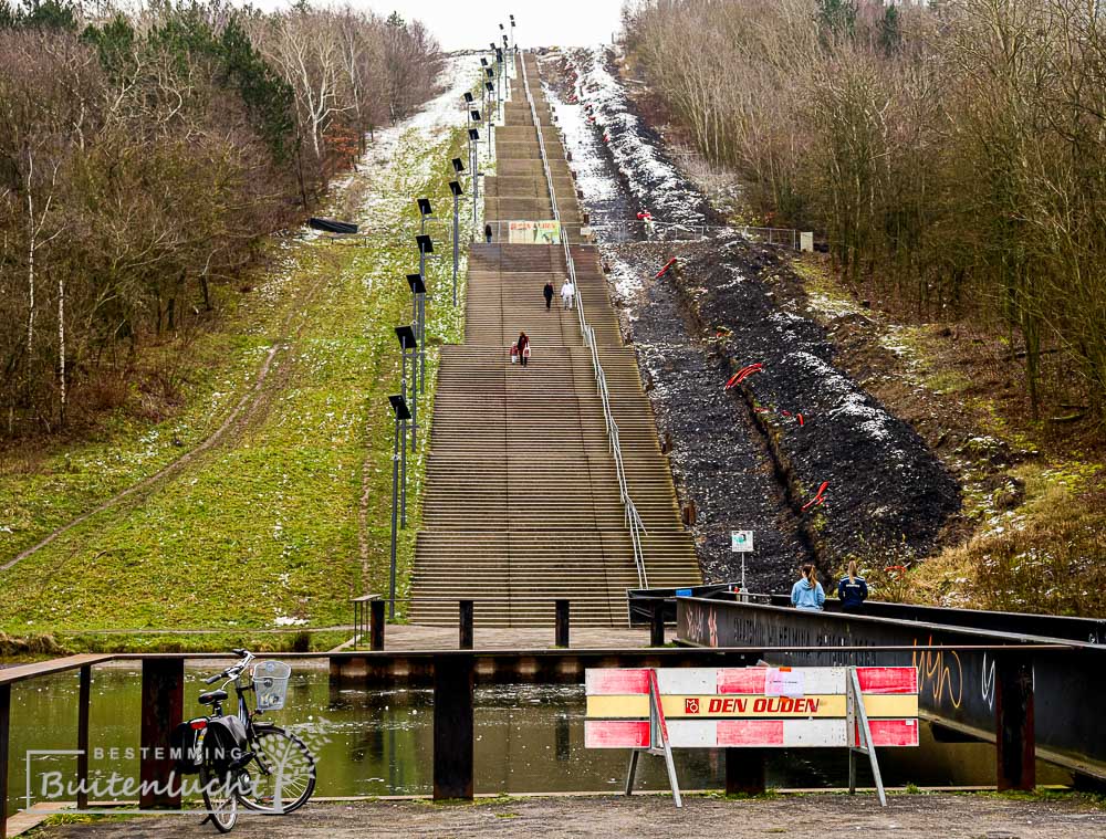 Wandelen op de WIlhelminaberg