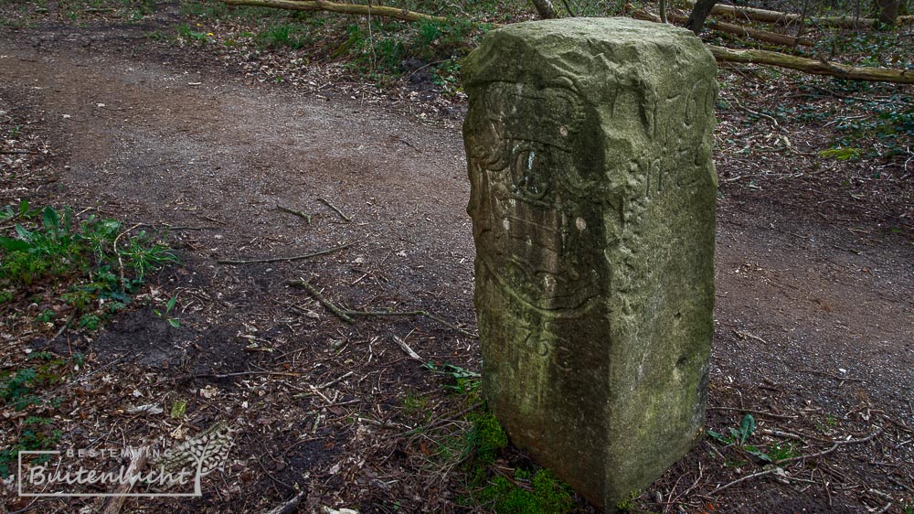 Sint Vitussteen bij WInterwijk