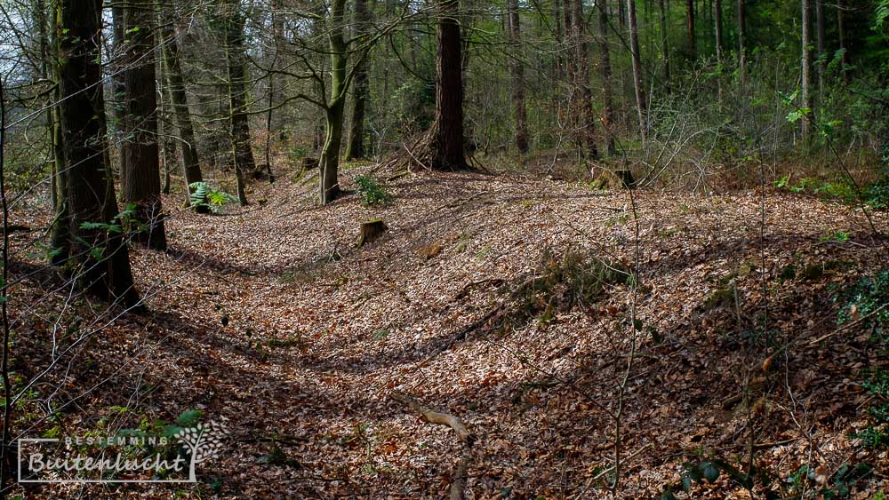 Landweer, grensmarkering in de Achterhoek bji Kommiezenpad