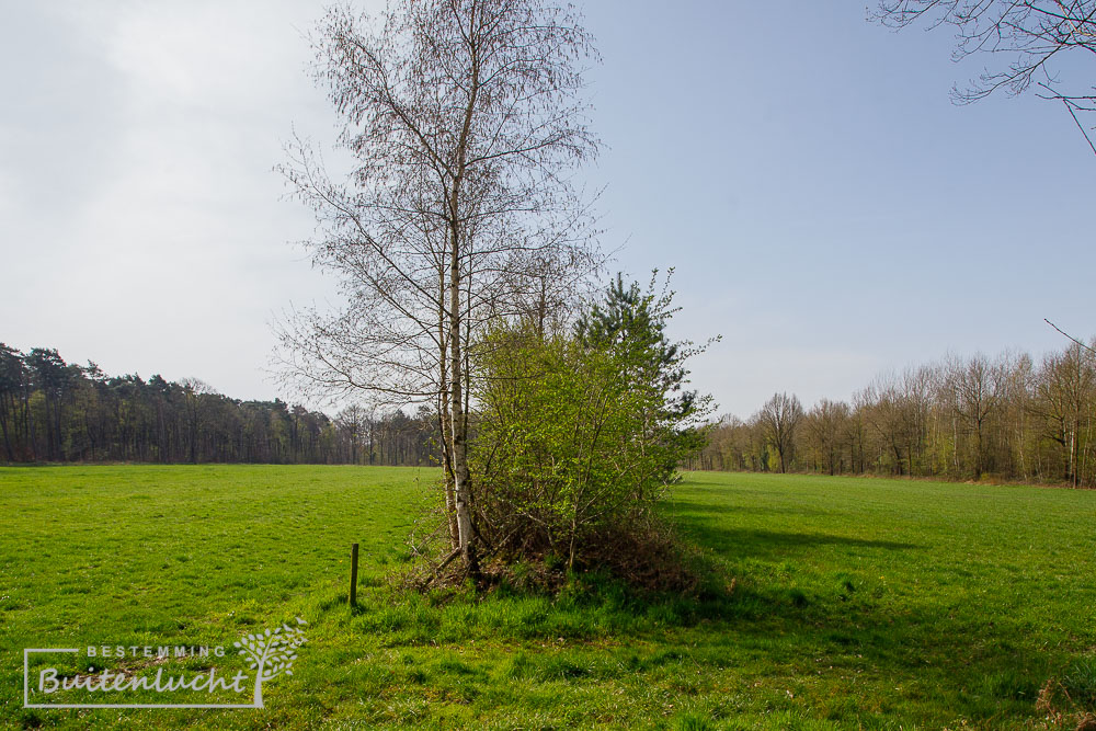 Coulisselandschap in de Achterhoek