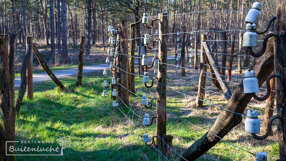 Dodendraad Reusel in Peelse Heide