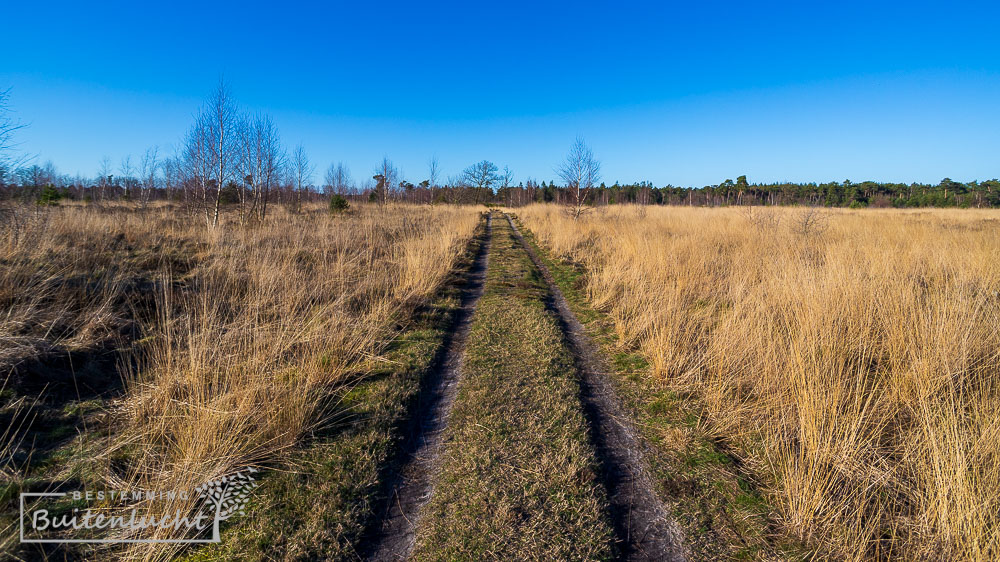 De grote cirkel bij de Brandtoren op de Peelse Heide 