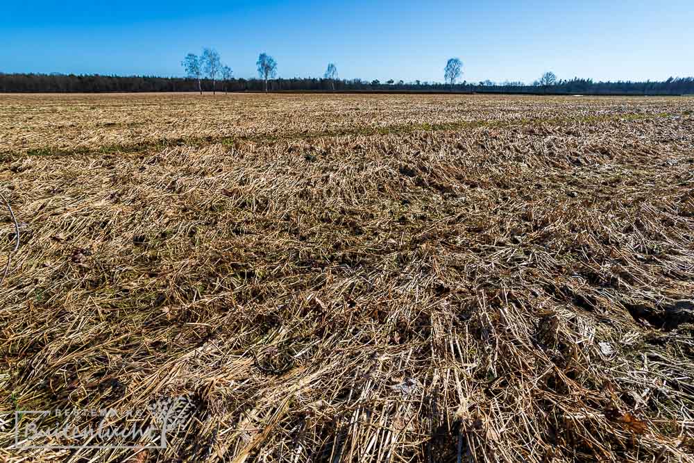 wandeling door de akkers bij de Brandtoren in Reusel