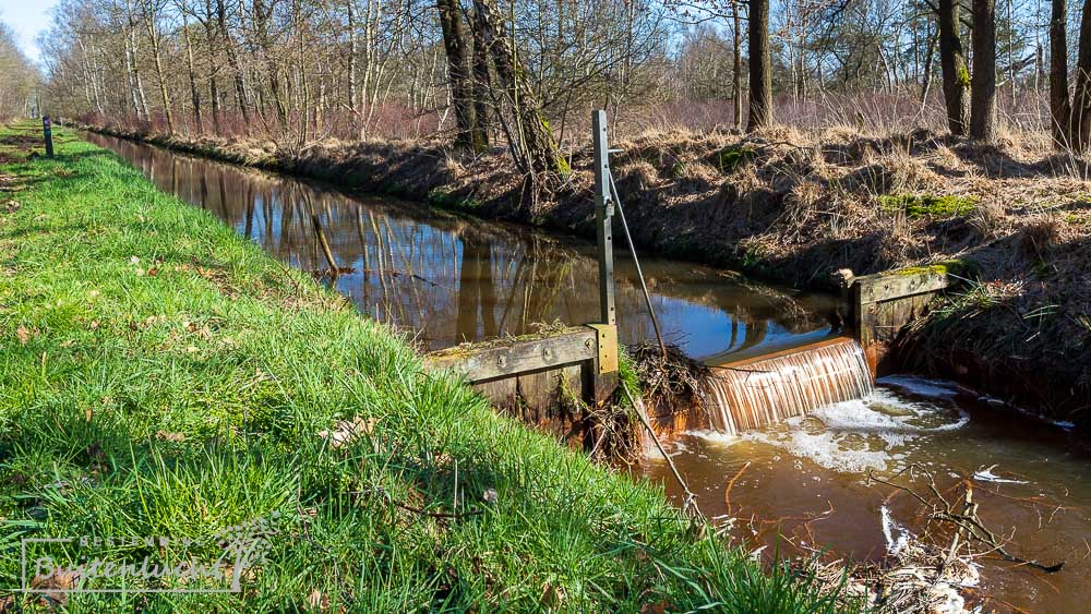 Wandeling langs een stuw in de Vaartloop Reuselse Moeren