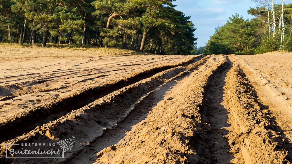 Wandelen in de Weerterbergen