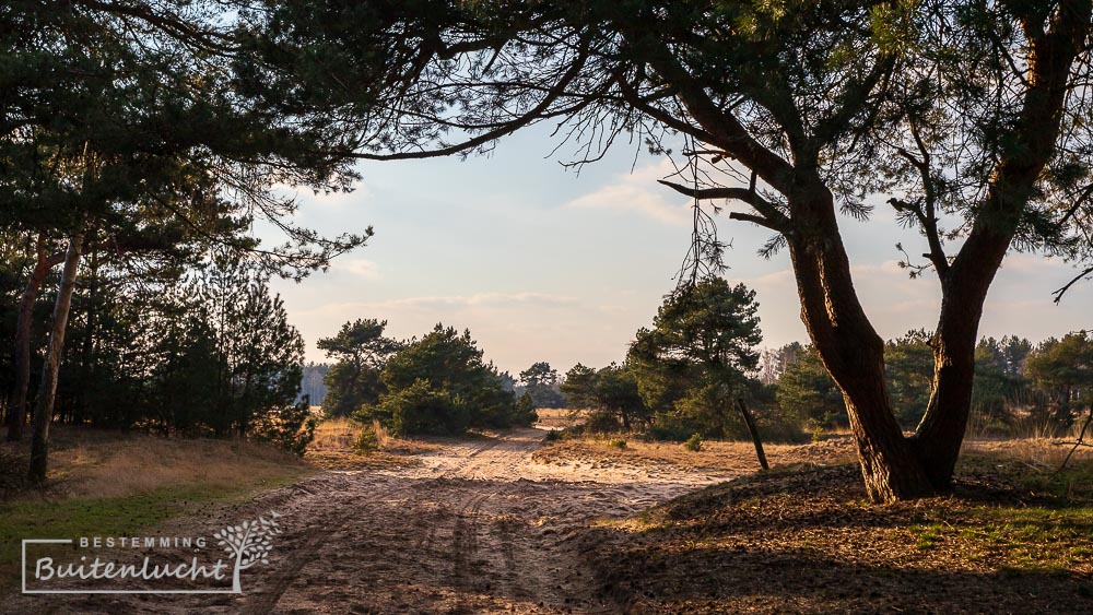 Pad in de Weerterbergen