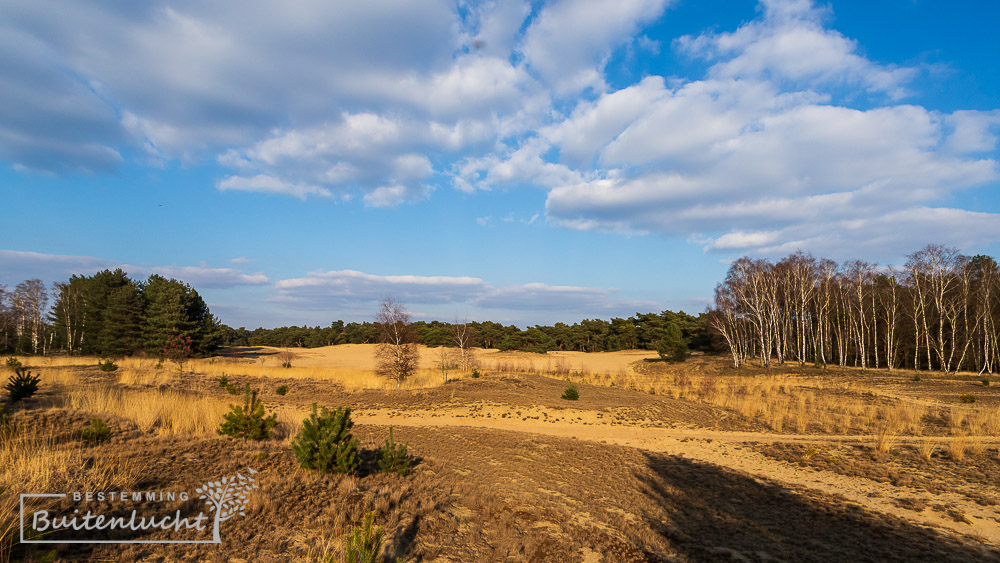 Weerterbergen, grootste urnenveld van Nederland