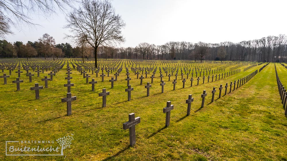 Eindeloze kruizen op de Duitse Oorlogsbegraafplaats 