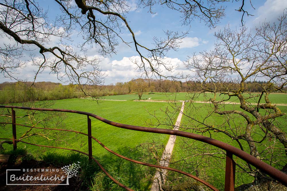 Hetwerk van de Boomtuin