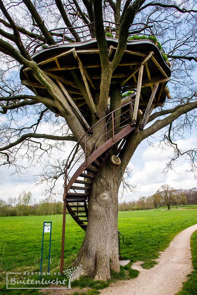 De Boomtuin in Diepenheim