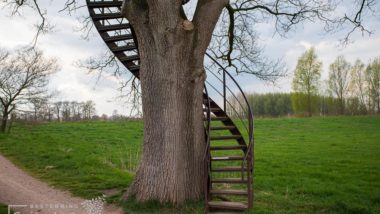 boomtuin Diepenheim