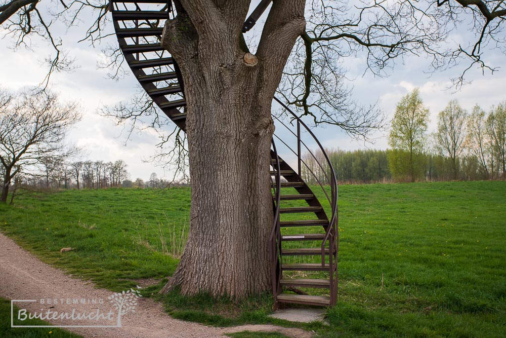 boomtuin Diepenheim