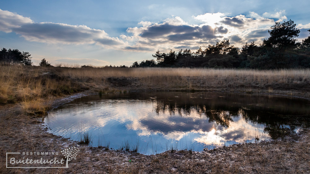 Poeltje in de Weerterbergen