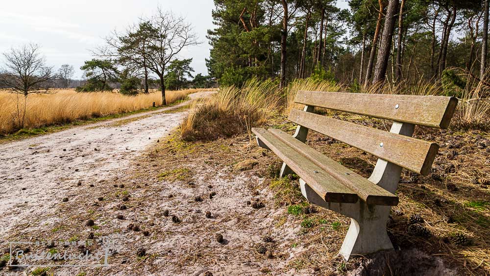 Bankje voor het wandelen in de Paardekop