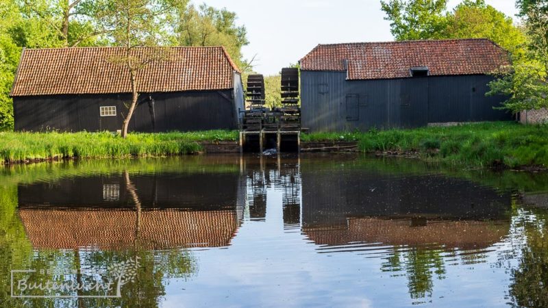 Hennie Agten: The Artist Mastering Van Gogh's Style in Nuenen - News Directory 3