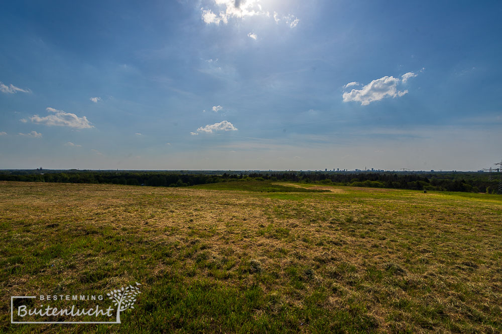 Het platte Dak van Brabant